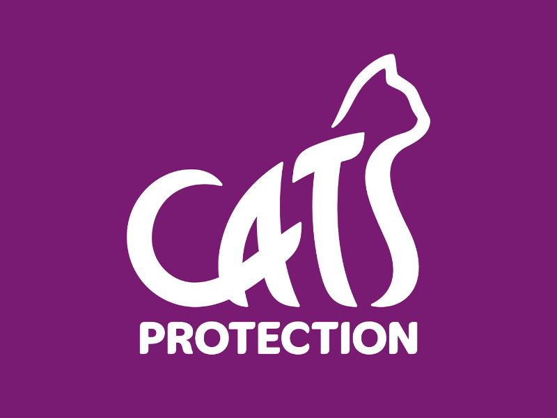 cats-case-study_1769421746